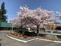 Evergreen High School in Vancouver