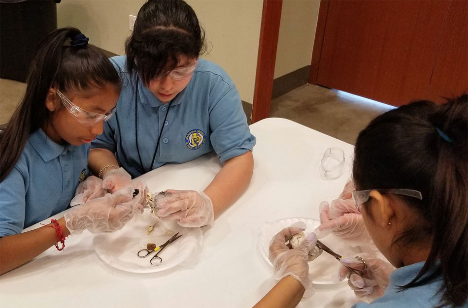 LNESC Programs:  Science Corps