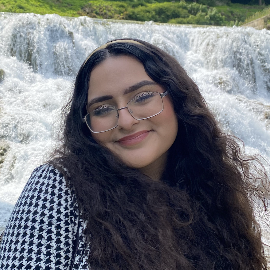 Vivian Llanes Borquez